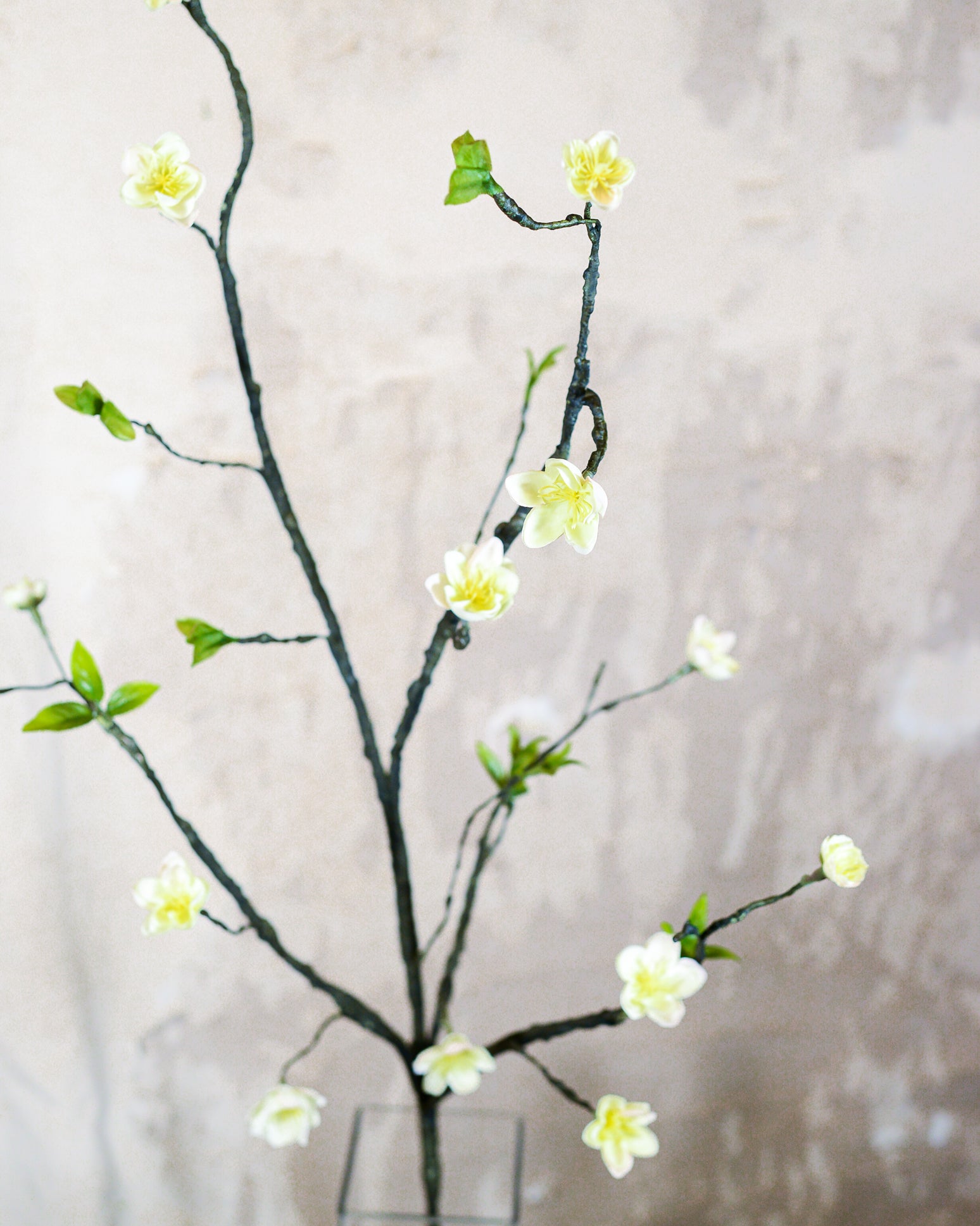 Blossom Branch White
