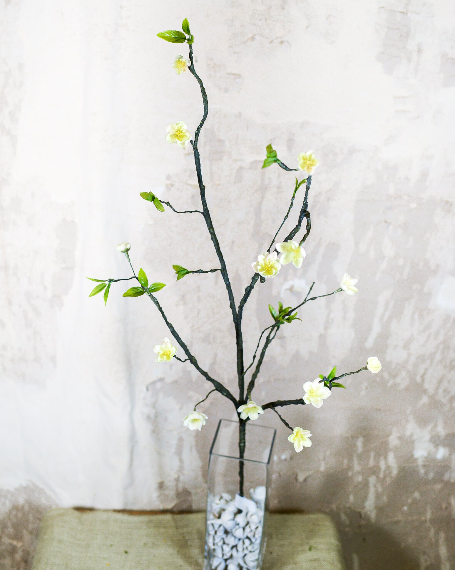 Blossom Branch White
