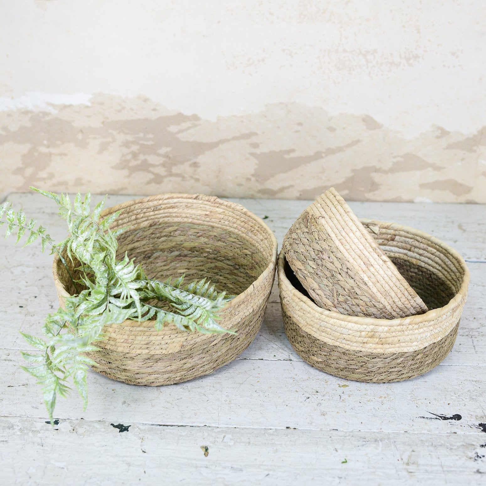 Two-Toned Tan Woven Basket Dish Garden Planter Small