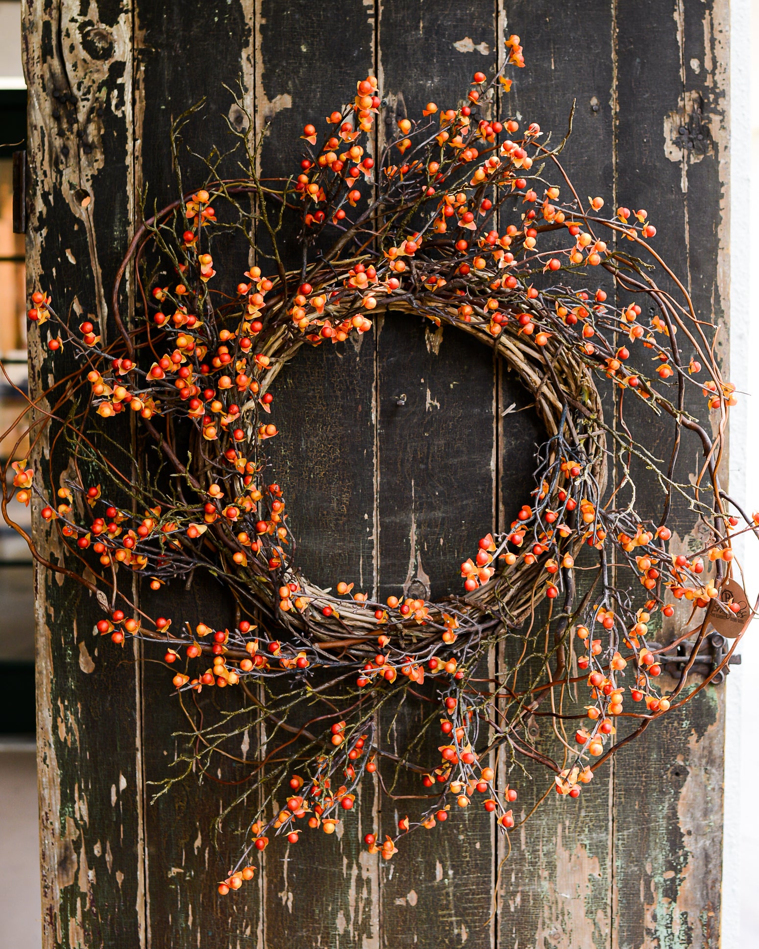 Bittersweet and Willow Wreath