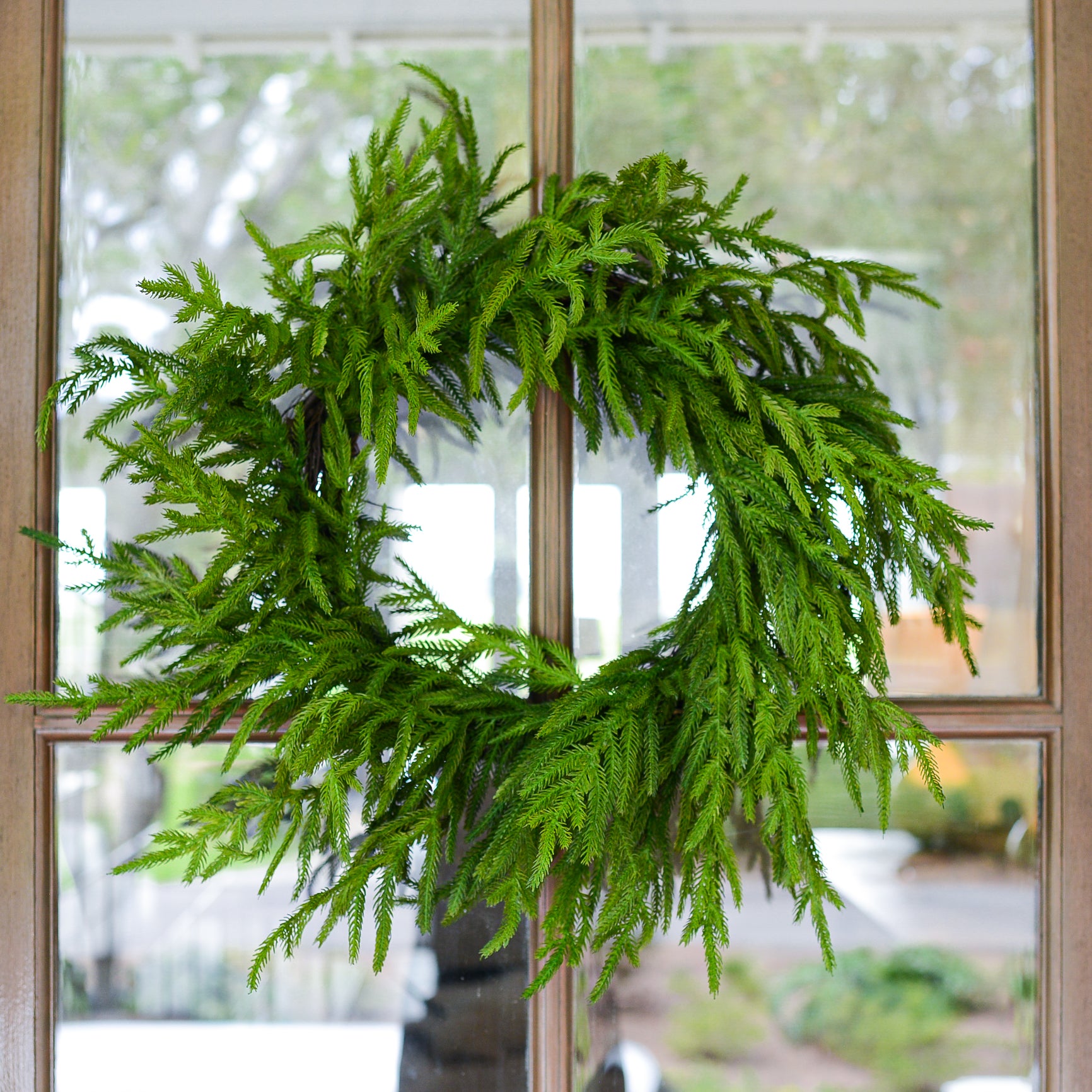 24"D Norfolk Natural Touch Pine Wreath