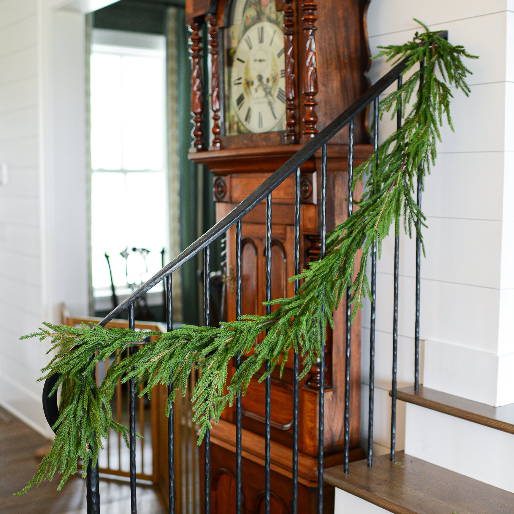 5.5 ft. Norfolk Pine Garland