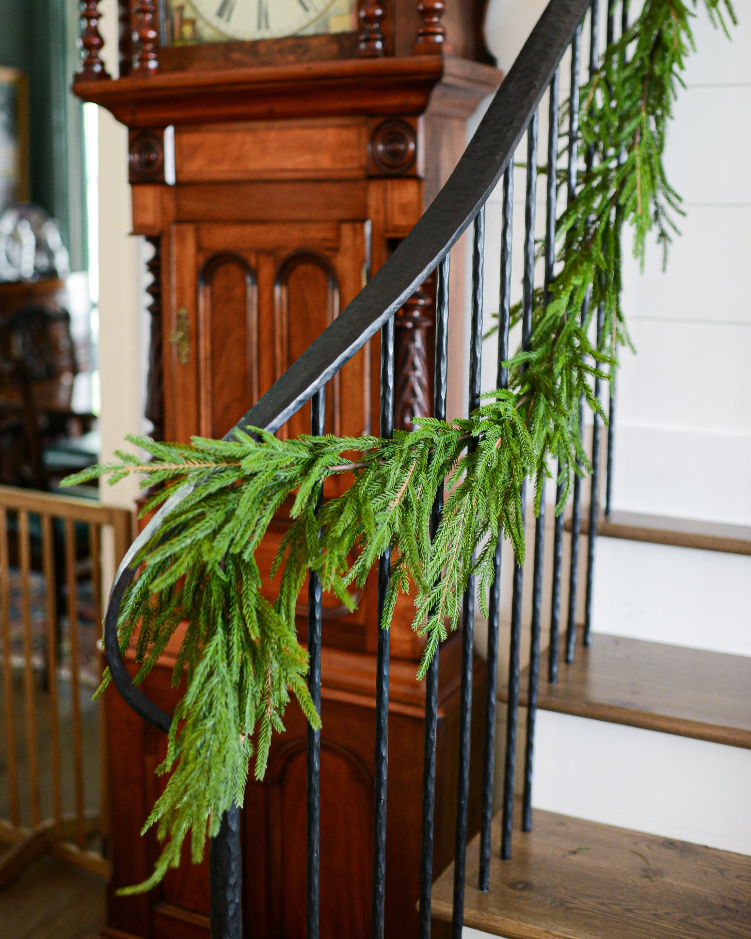 5.5 ft. Norfolk Pine Garland