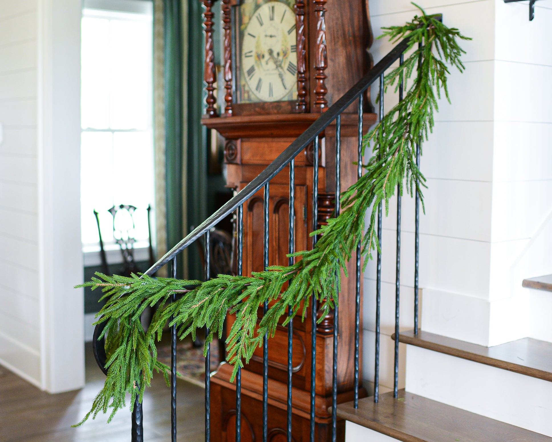 5.5 ft. Norfolk Pine Garland