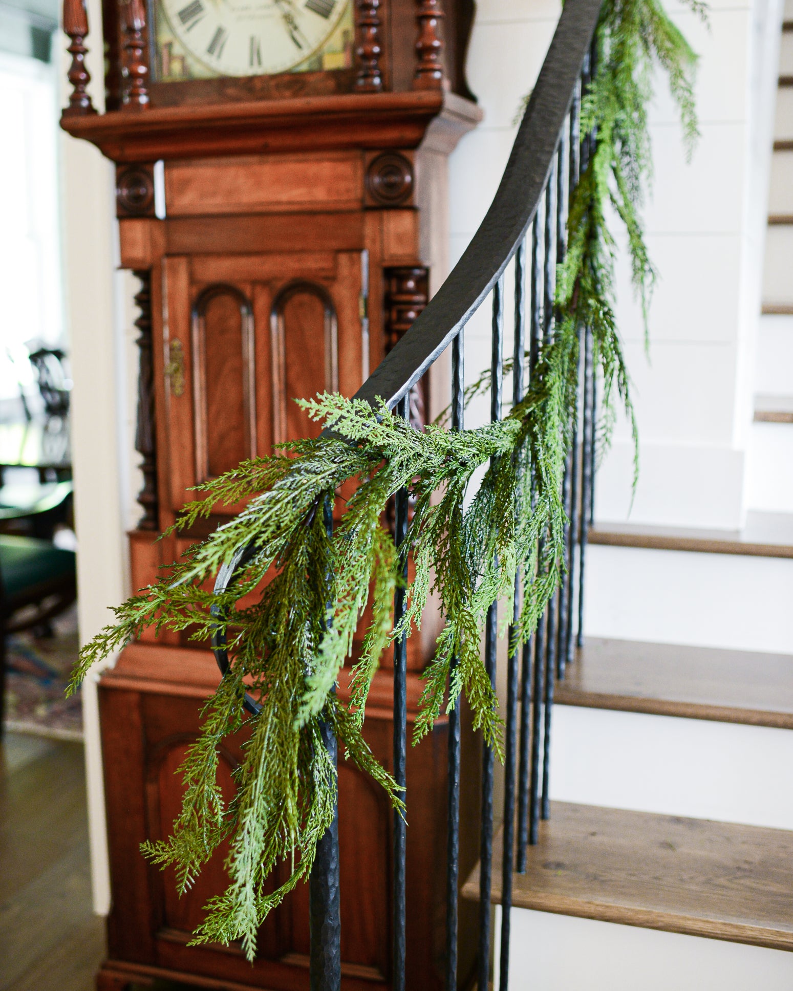 6 ft. Garland Cedar