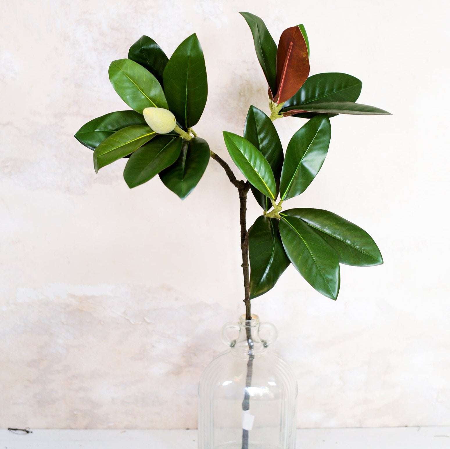 Magnolia Leaf Spray Stem