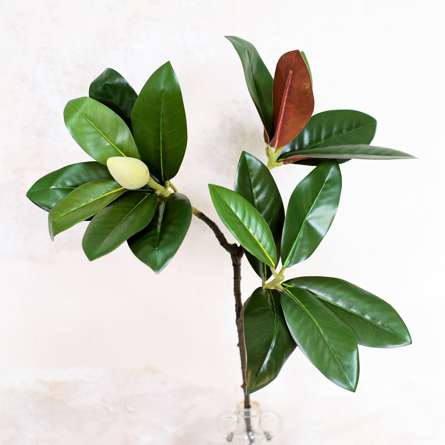 Magnolia Leaf Spray Stem