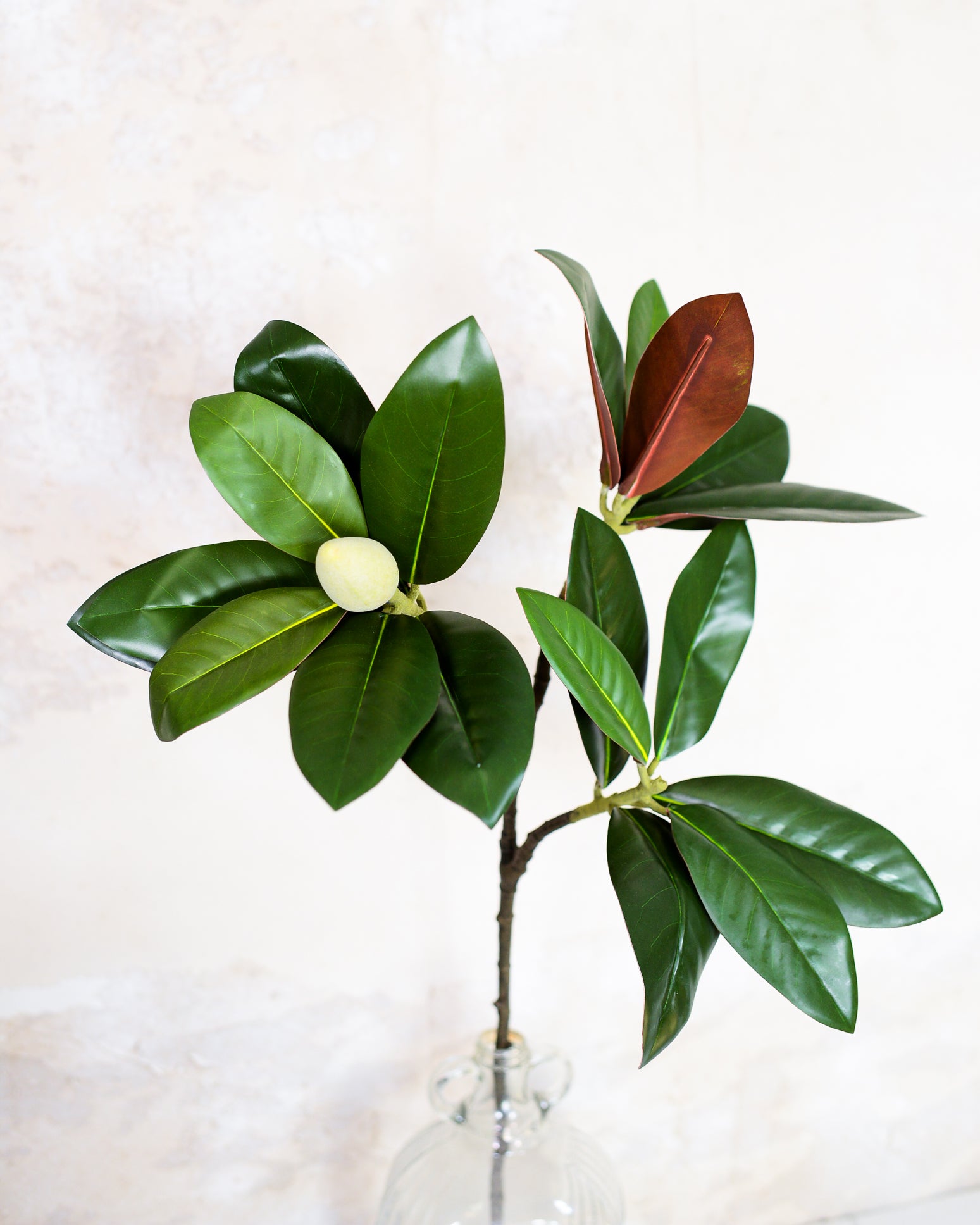 Magnolia Leaf Spray Stem