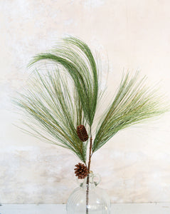 Jekyll Island Pine Spray with Cone Stem
