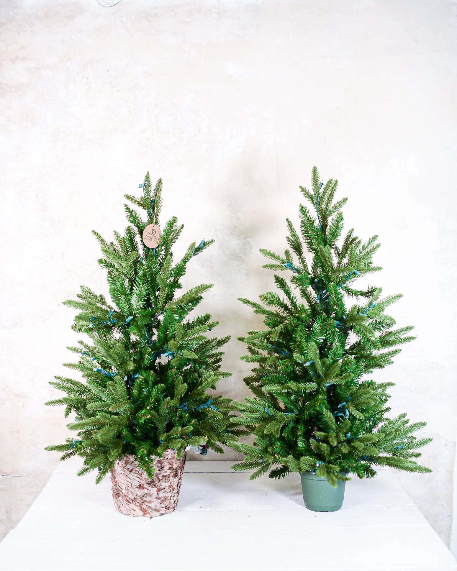 3 ft. Fraser Fir Tree Pre-Lit