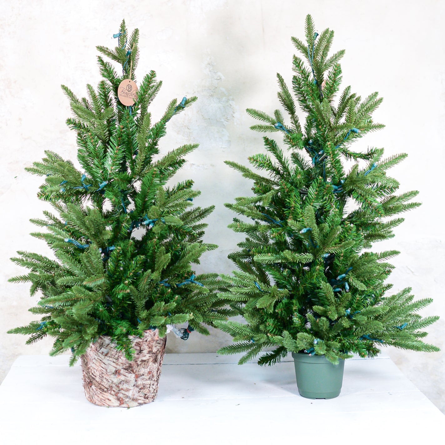 3 ft. Fraser Fir Tree Pre-Lit