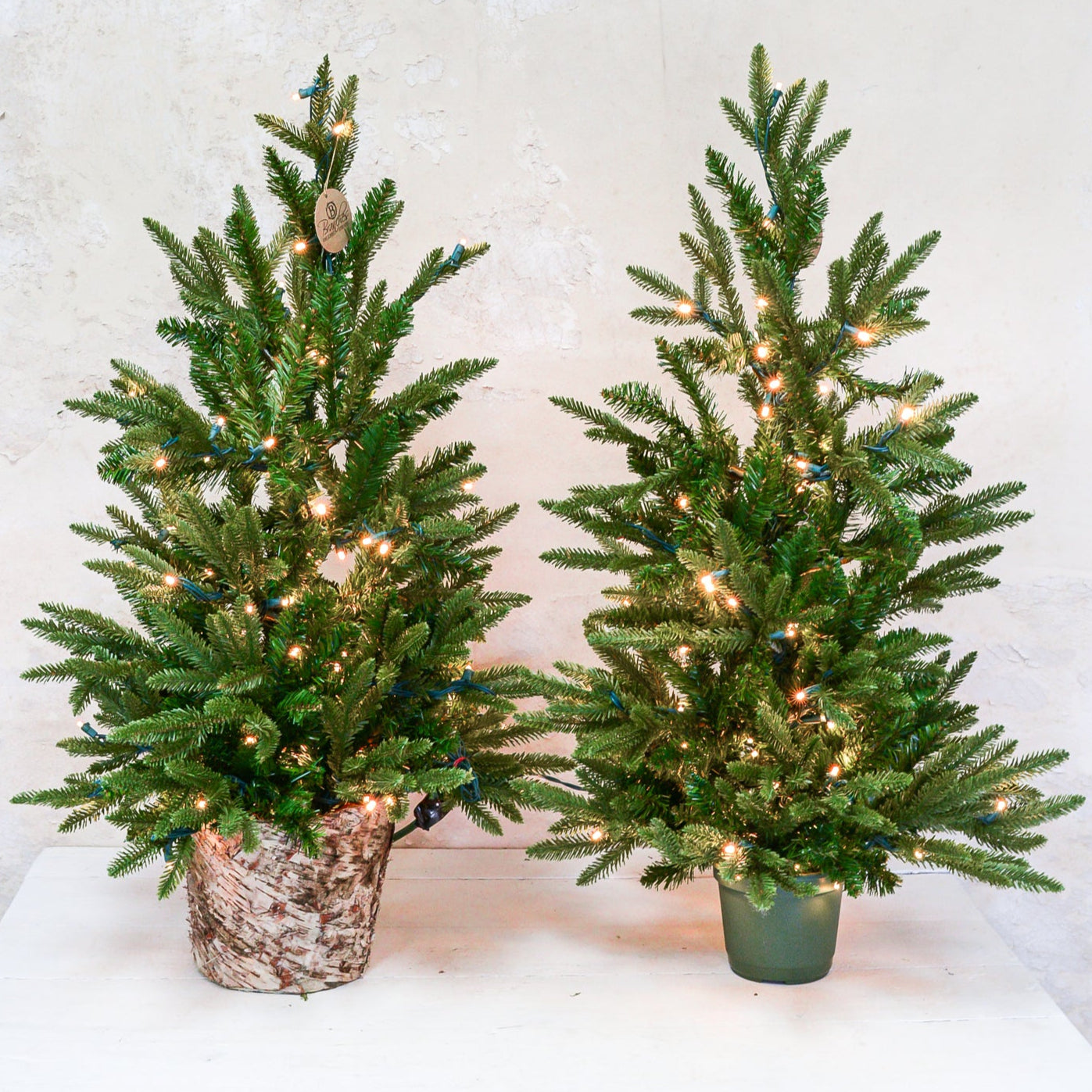 3 ft. Fraser Fir Tree Pre-Lit