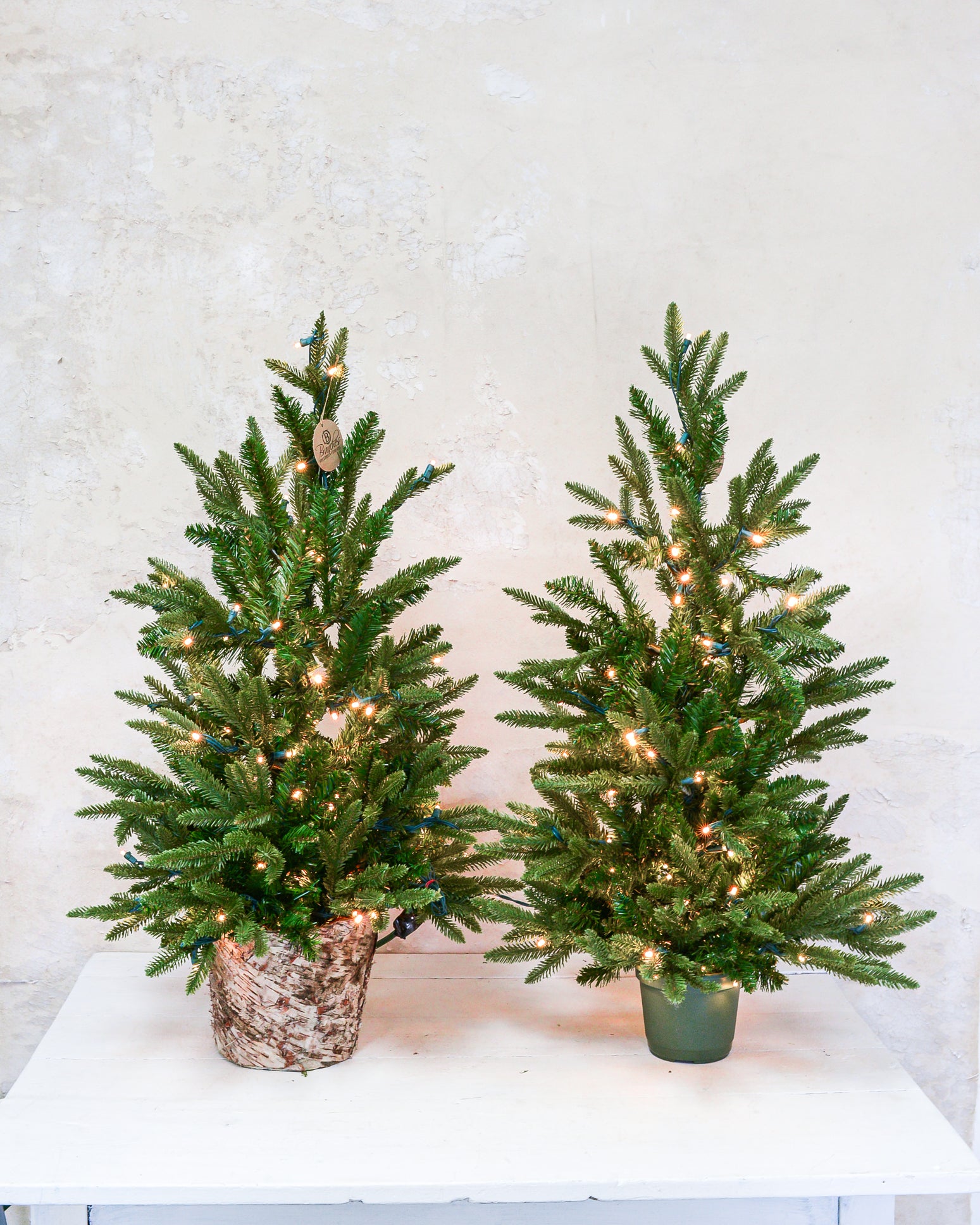 3 ft. Fraser Fir Tree Pre-Lit