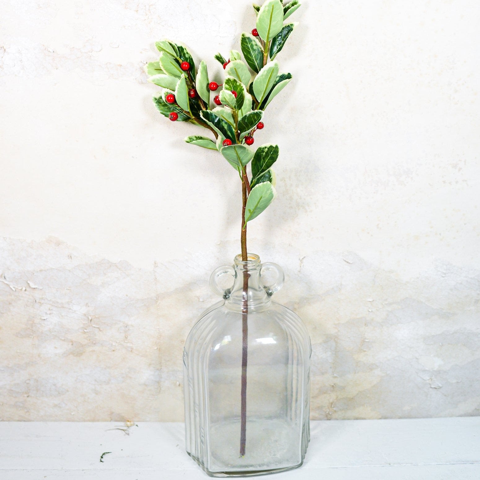 Holly Variegated with Red Berries Spray Stem