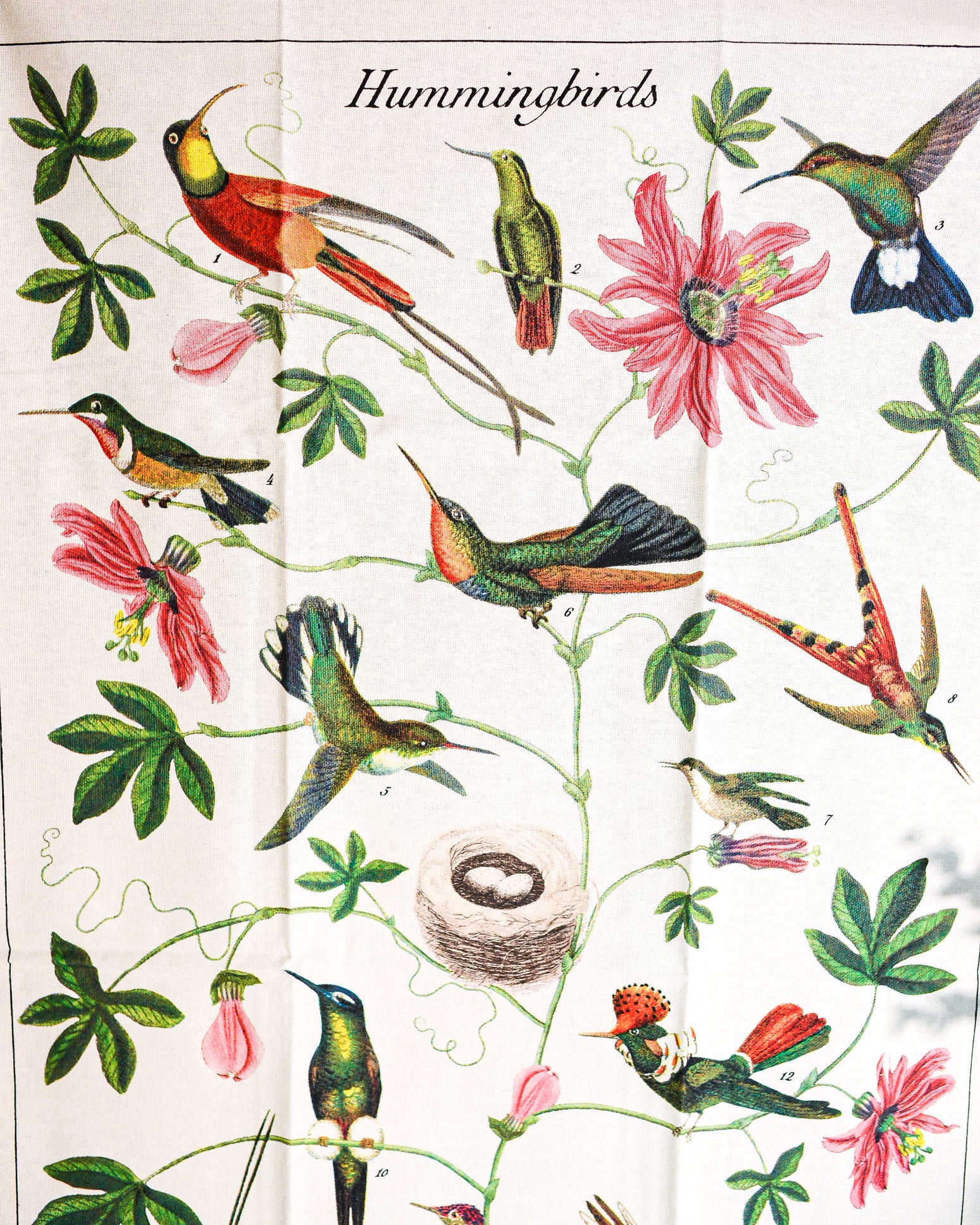 Hummingbird Vintage Tea Towel