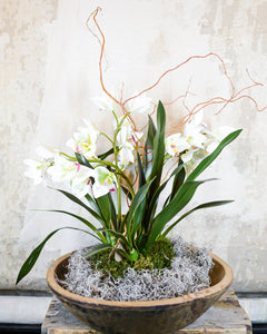 Triple White Cymbidium Orchid Centerpiece Drop In