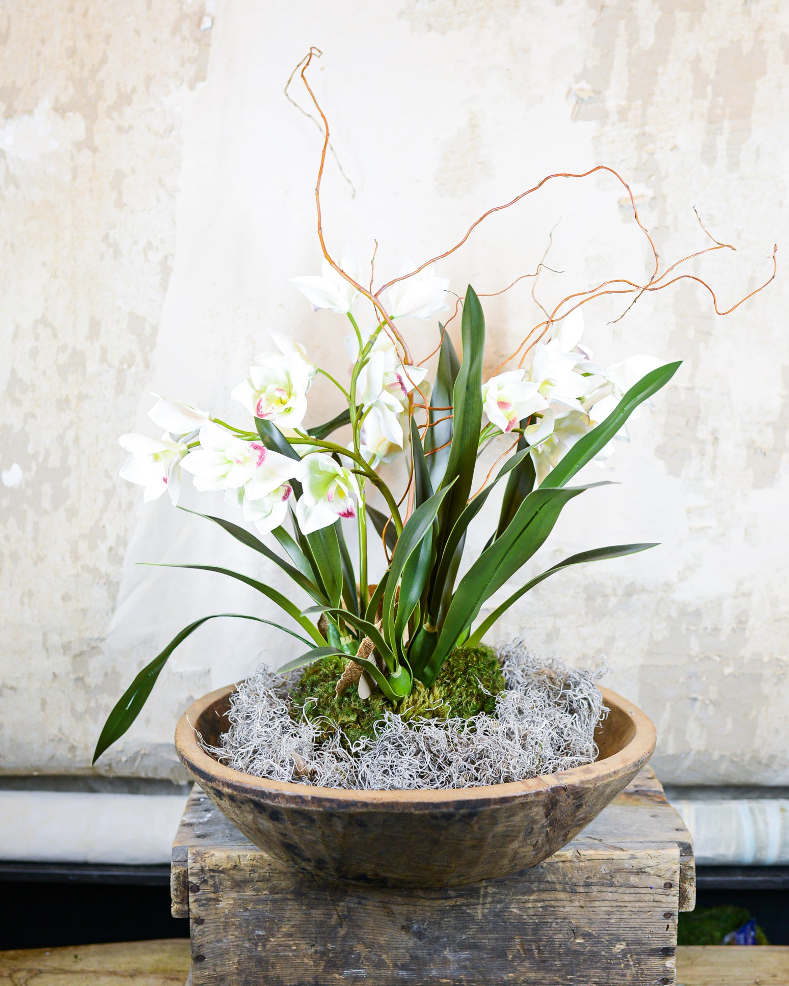 Triple White Cymbidium Orchid Centerpiece Drop In