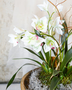Triple White Cymbidium Orchid Centerpiece Drop In