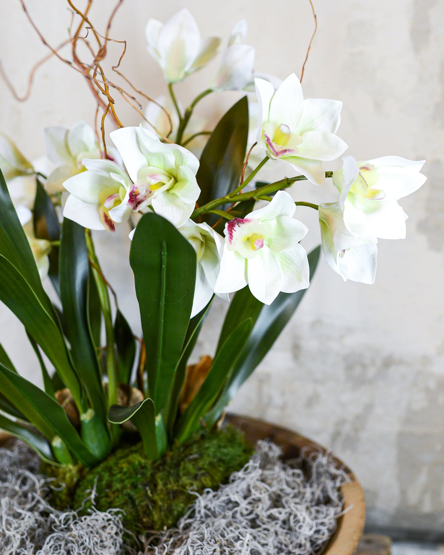 Triple White Cymbidium Orchid Centerpiece Drop In