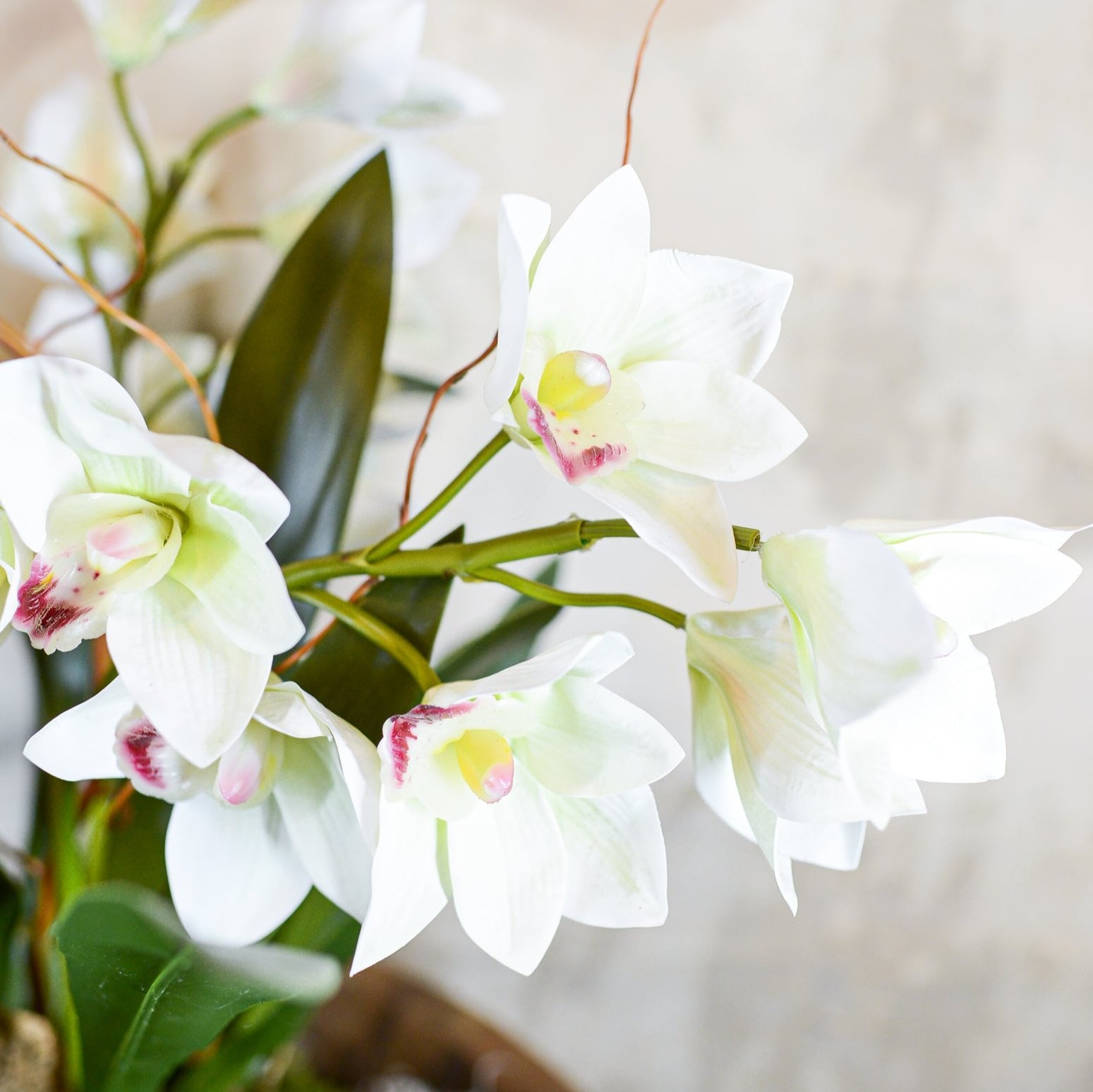 Triple White Cymbidium Orchid Centerpiece Drop In
