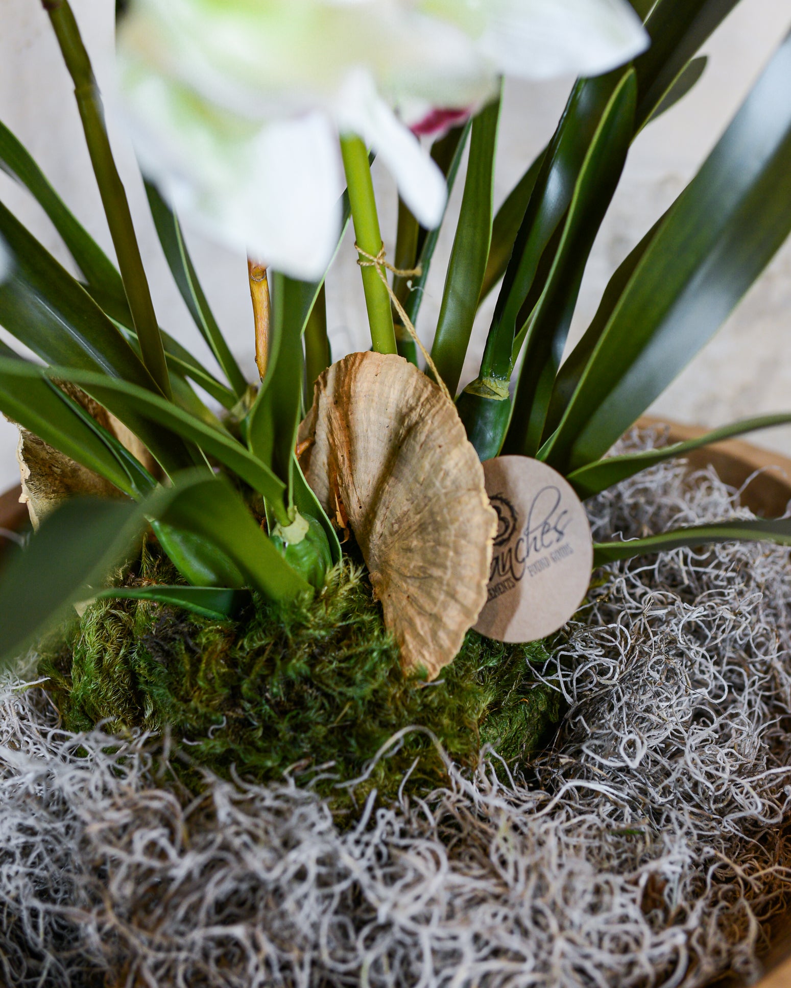 Triple White Cymbidium Orchid Centerpiece Drop In
