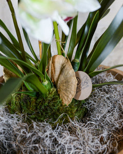Triple White Cymbidium Orchid Centerpiece Drop In