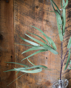 Seeded Needle Eucalyptus Spray Stem