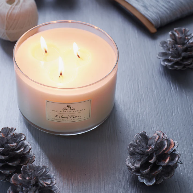 Roland Pine Triple Wick Soy Candle