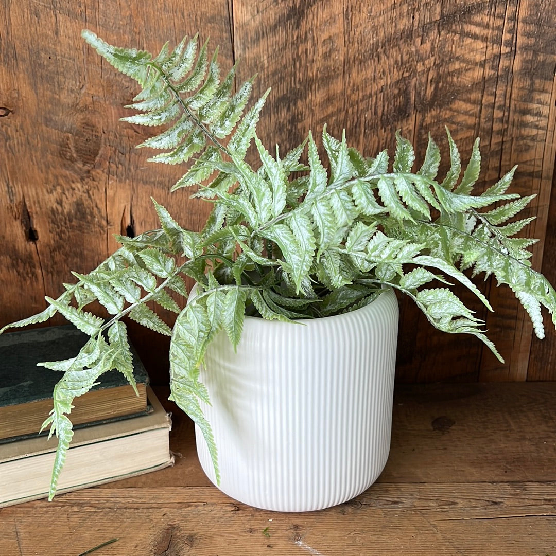 Ribbed Linear Matte White Ceramic Planter