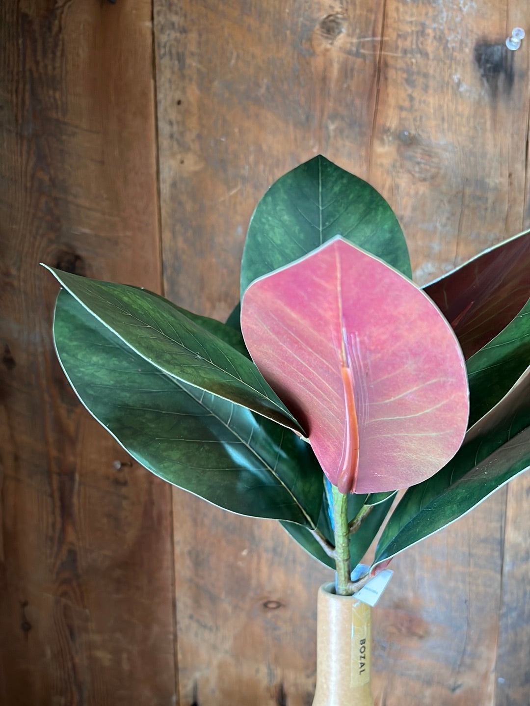 Magnolia Leaf Pick Stem