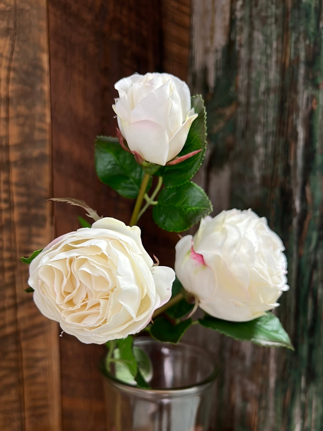 Just Cut Floribunda Rose and Bud Cream Blush