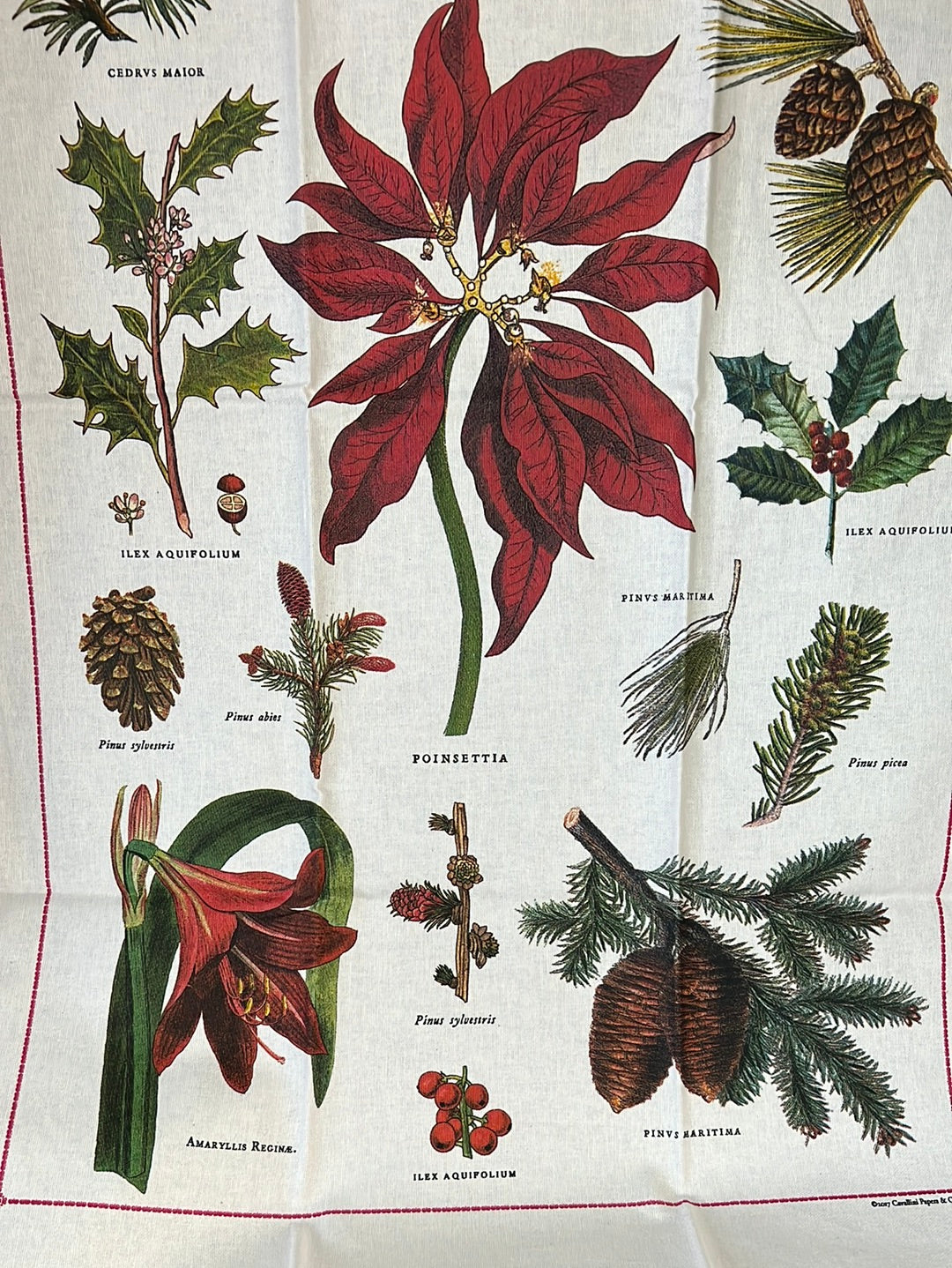 Vintage Holiday Flora and Fauna Tea Towel