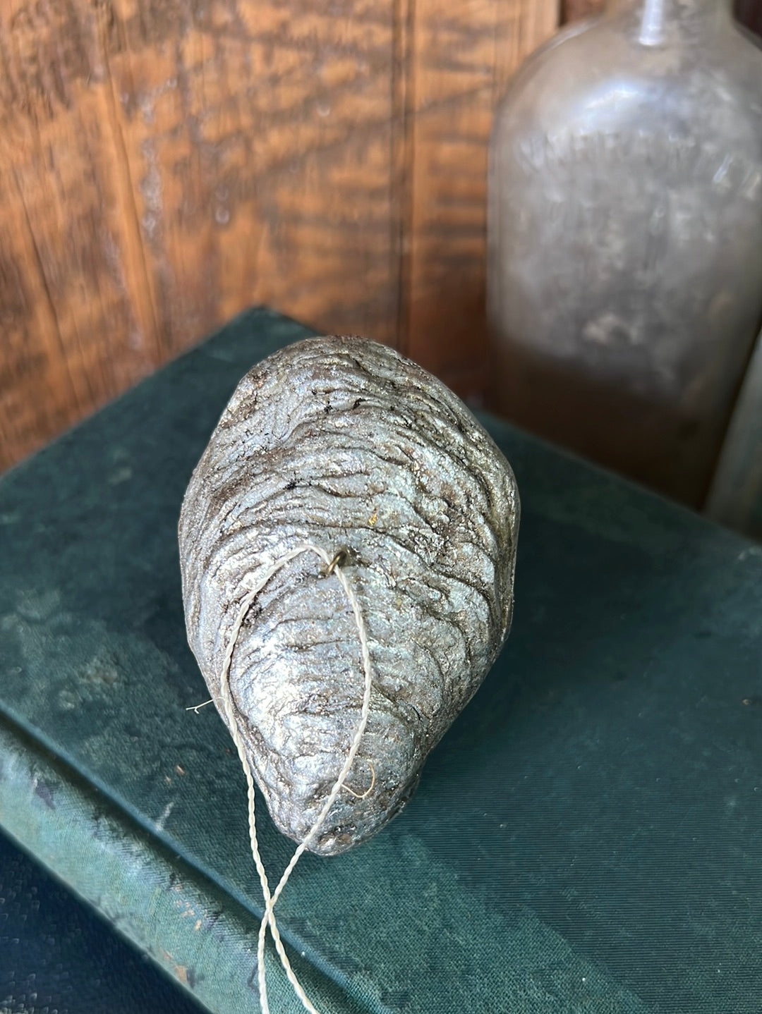 Silver Oyster Shell with Pearl Paper Mache Ornament