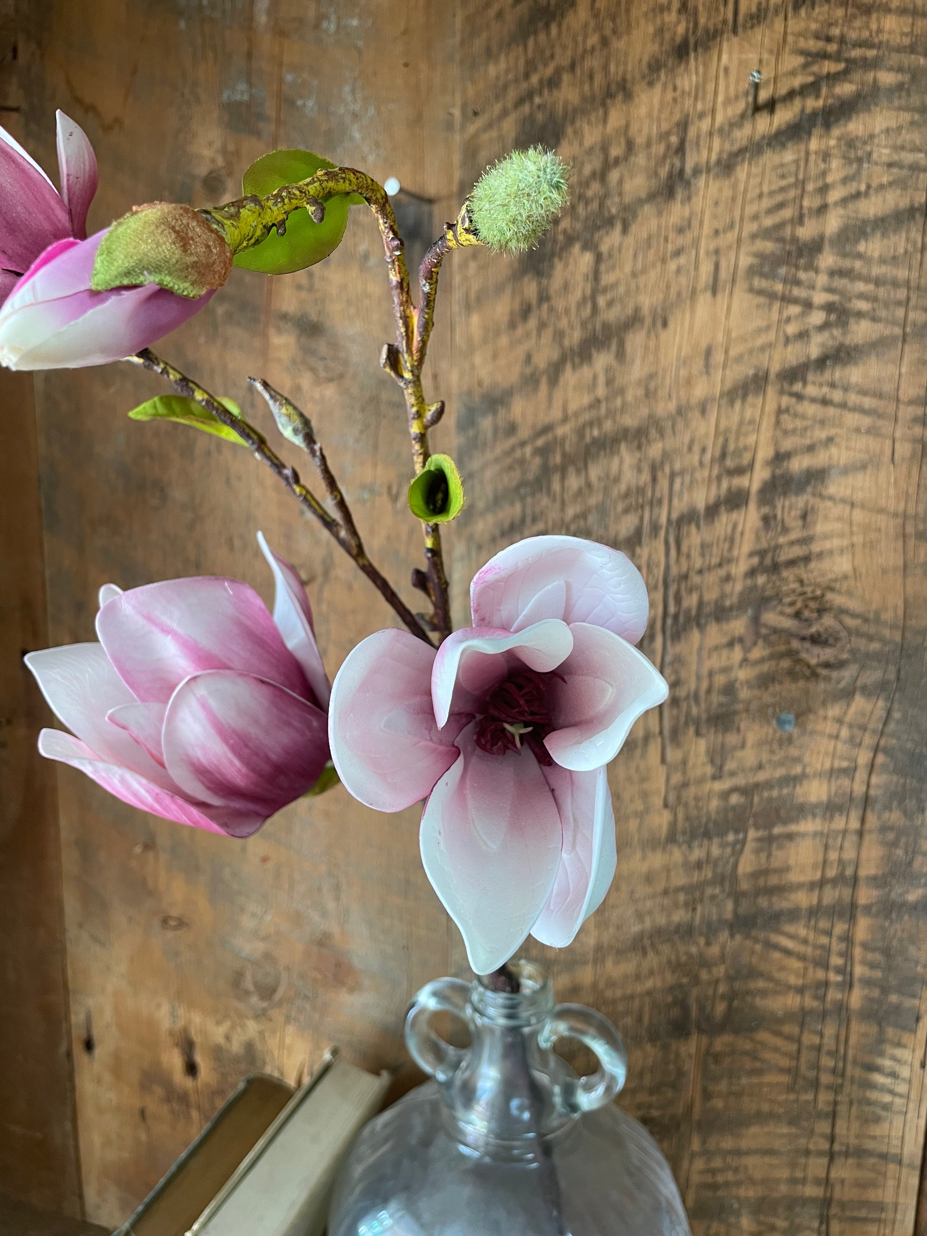 Saucer Magnolia Spray Stem Pink