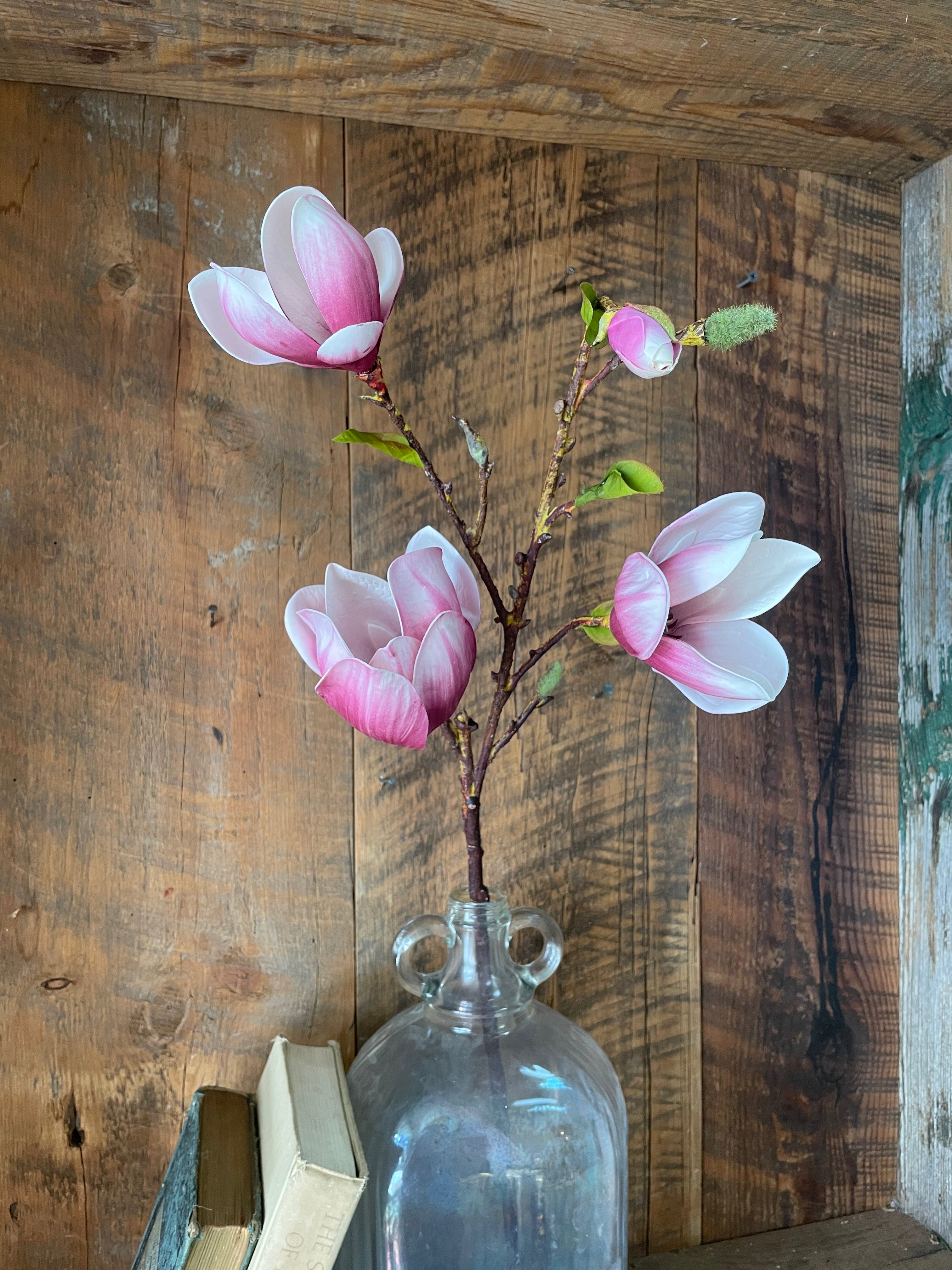 Saucer Magnolia Spray Stem Pink