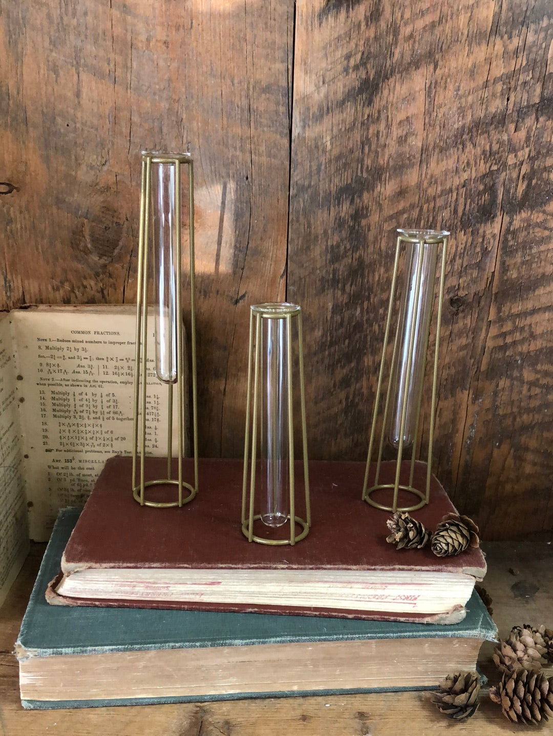 Set of Three Small Glass Test Tube Vases with Metal Gold Stands