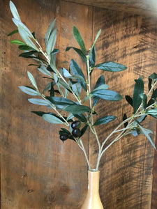 Italian Olive Spray Stem