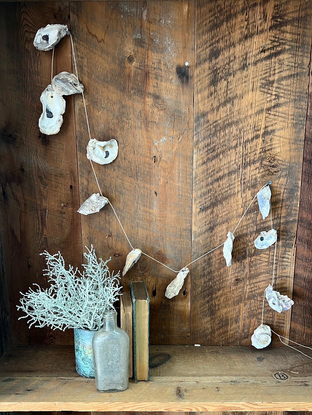 Natural Oyster Shells Garland Strand on Abaca Twine