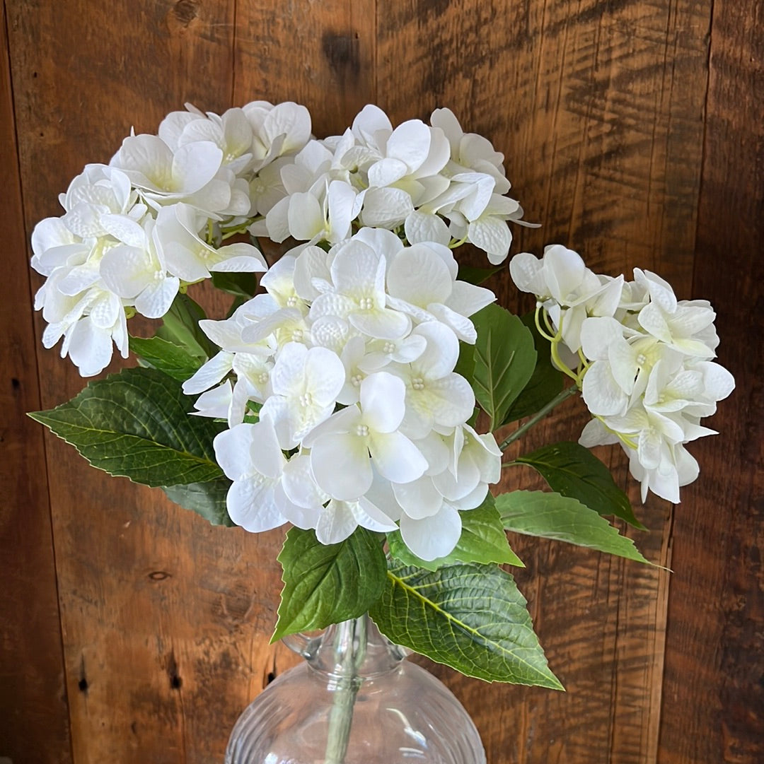 Hydrangea Bush Stem White Natural Touch Blooms