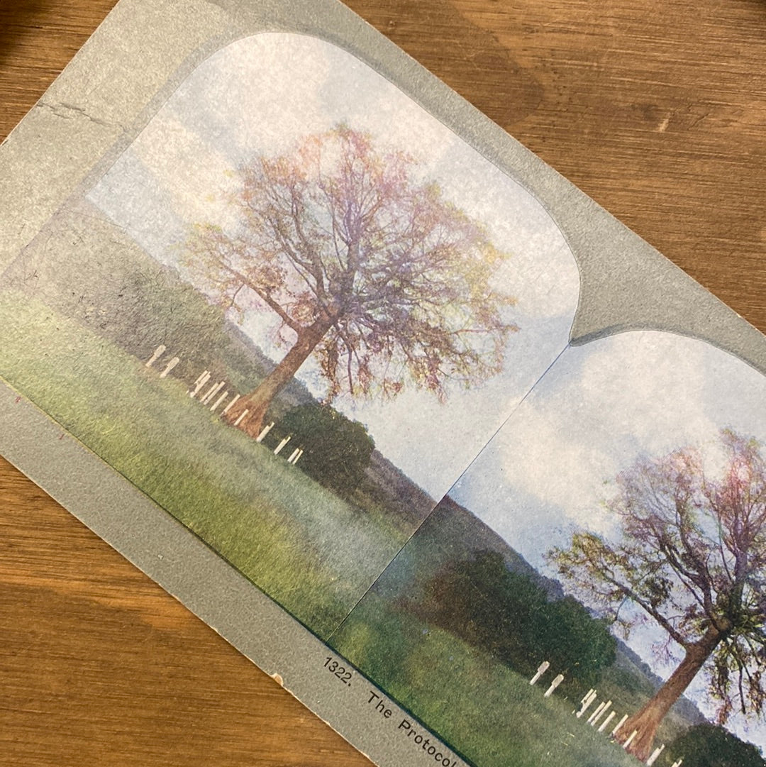 1900's Antique Stereoscope Card