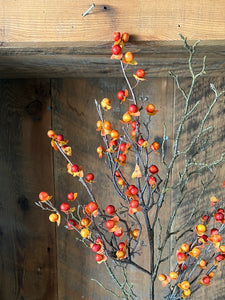 Bittersweet and Twig Spray Stem