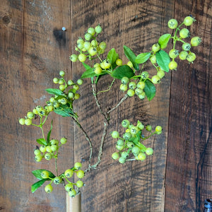 Berry Spray Stem Lime Green