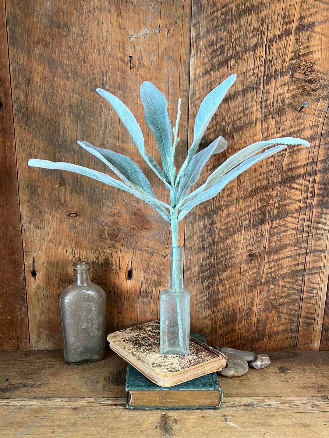 Flocked Lambs Ear Plant 16" Branches Designs