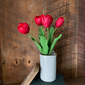Red Tulip Bundle of Six