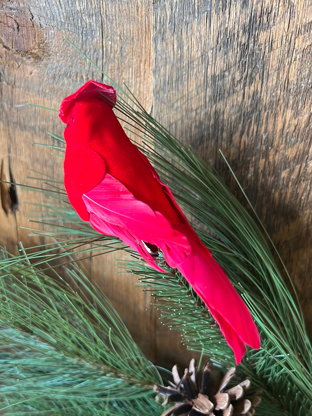 Velvet Feather Red Cardinal Clip Ornament