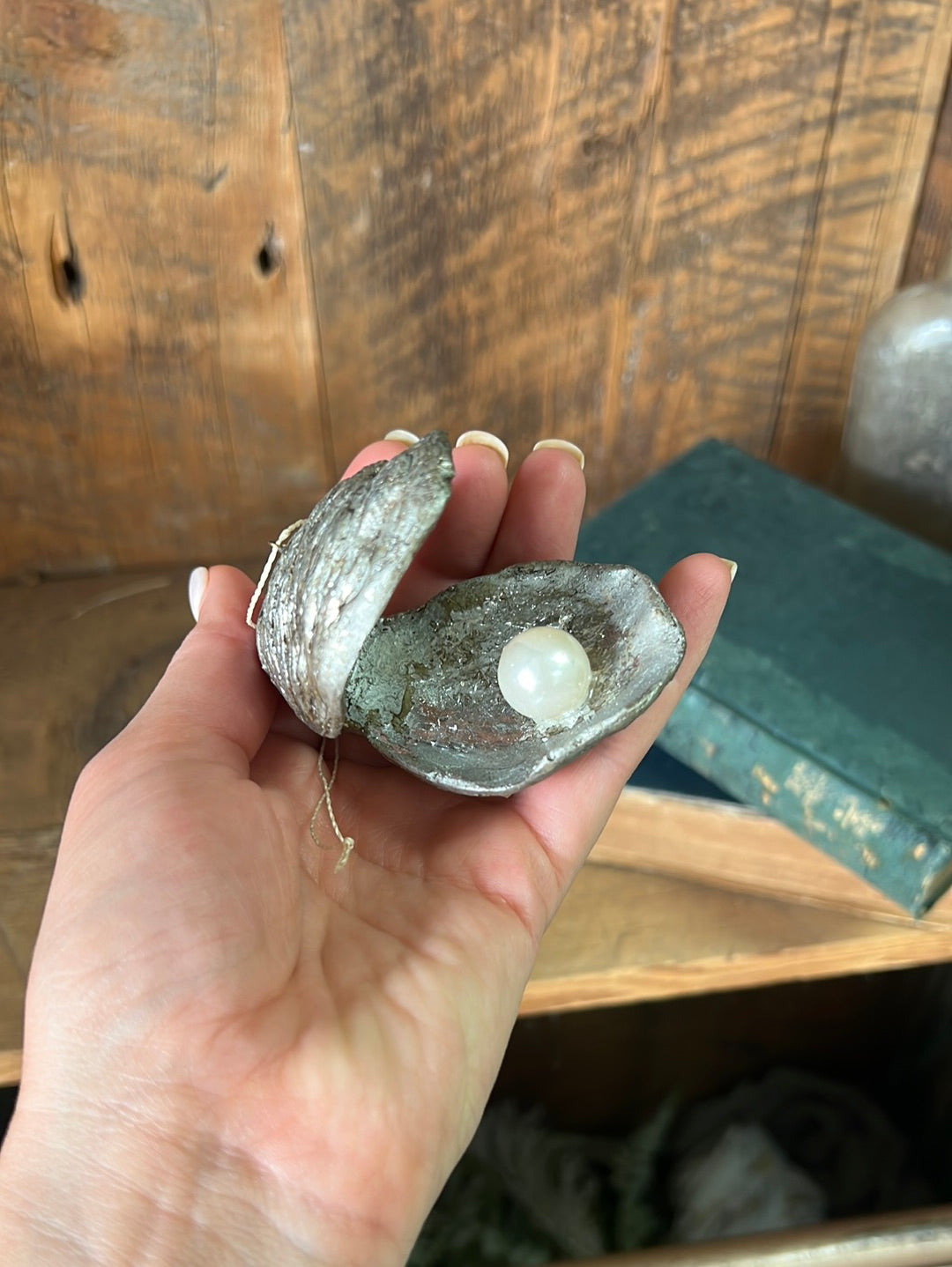 Silver Oyster Shell with Pearl Paper Mache Ornament