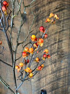 Bittersweet and Twig Spray Stem