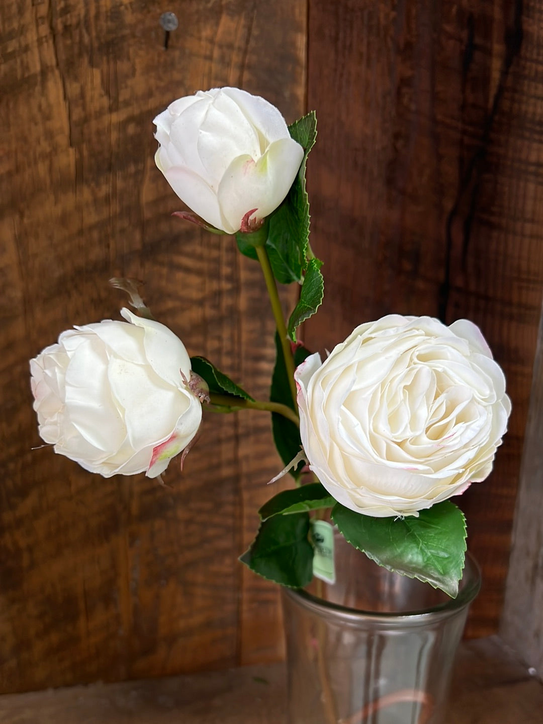 Just Cut Floribunda Rose and Bud Cream Blush