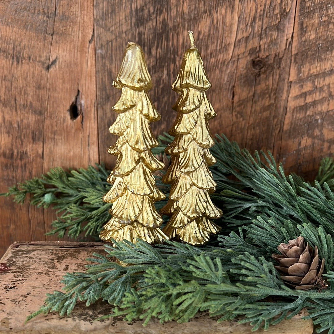 Unscented Gold Tree Candle Box of Two