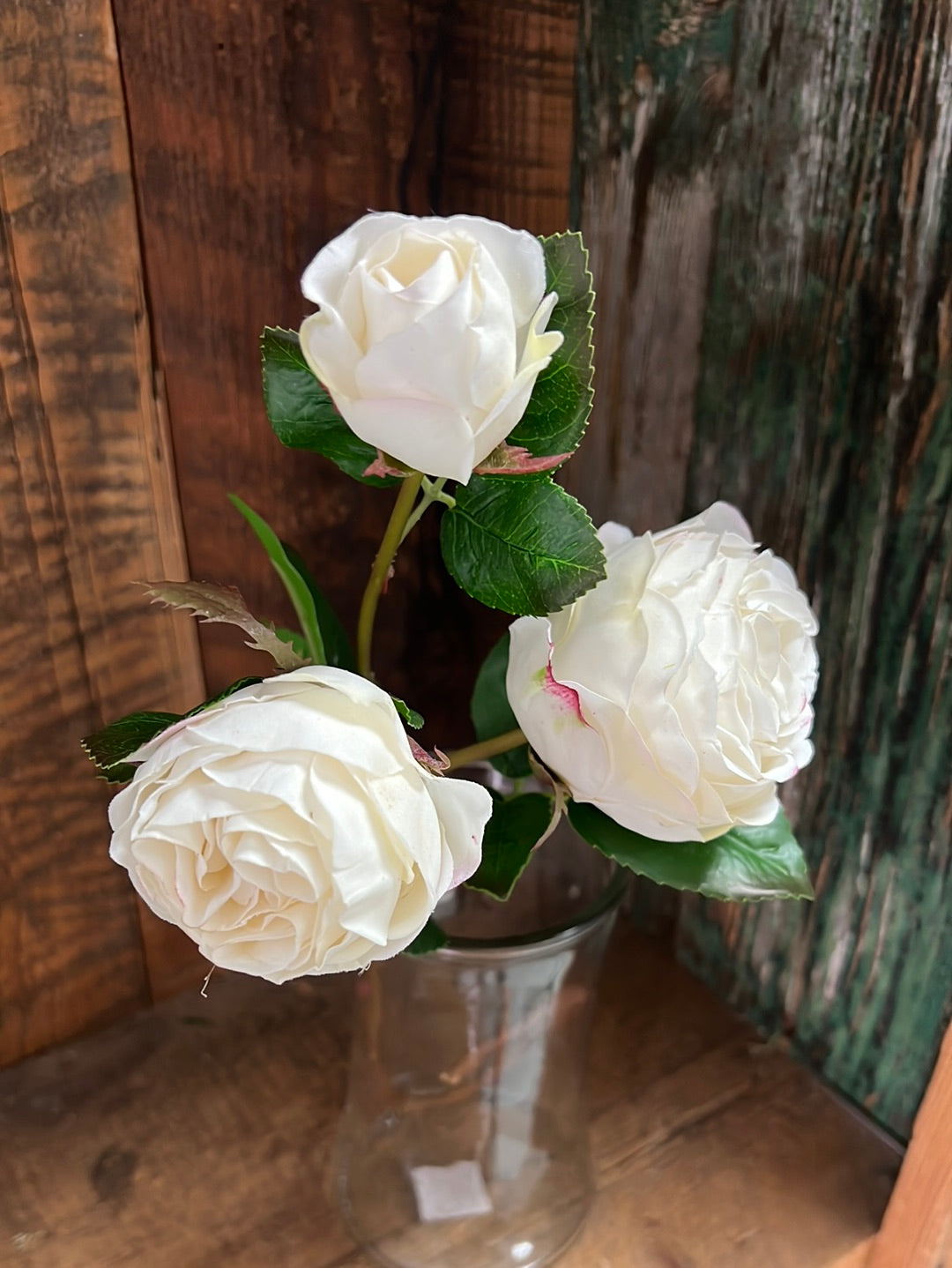 Just Cut Floribunda Rose and Bud Cream Blush